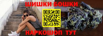 стафф Камышлов