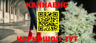 стафф Камышлов